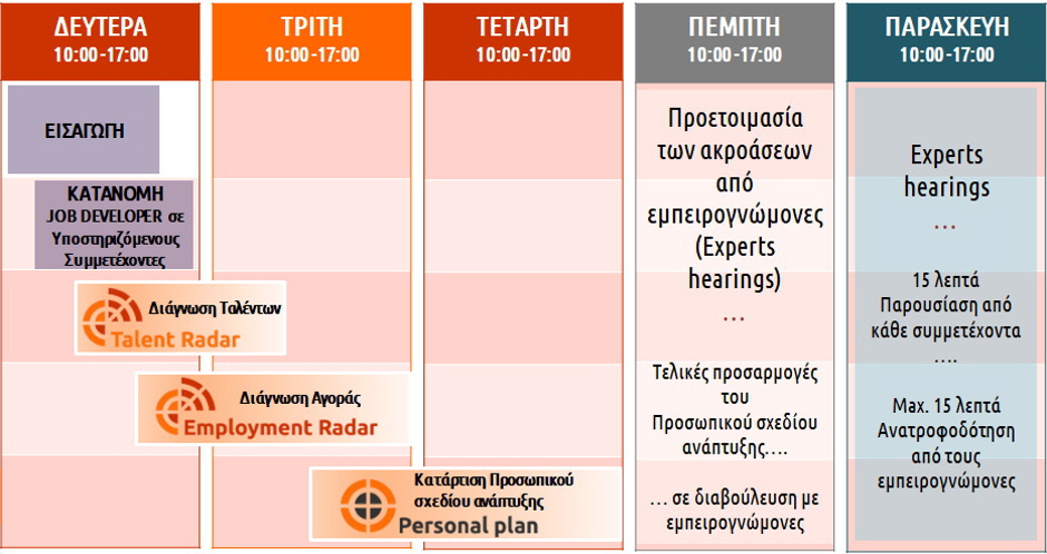 Job Developer Project | Greece - Implementation WorkShop OVERVIEW